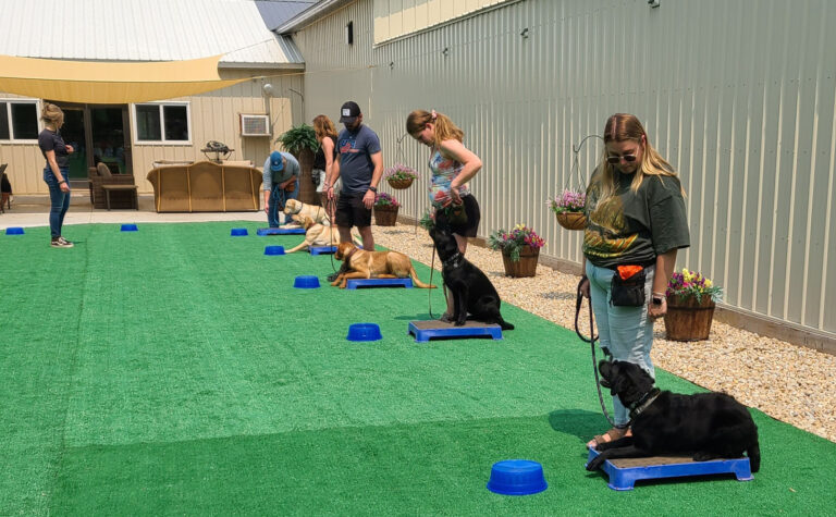 Service Dog Training Class